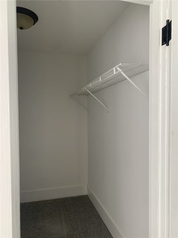 1101 State Route 356, Allegheny Twp, PA 15656 - spacious closet with carpet flooring