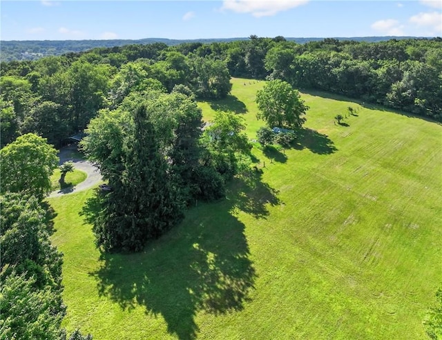 3650 Gibsonia Rd, Richland, PA 15044 - aerial view of a forest