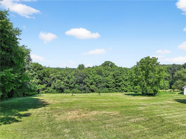3650 Gibsonia Rd, Richland, PA 15044 - view of green lawn featuring a view of trees