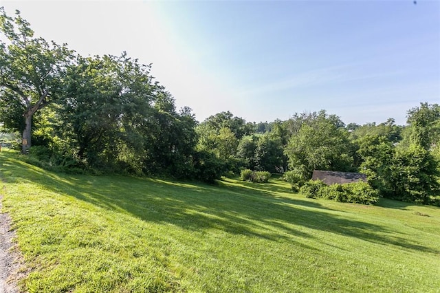 354 Wickhaven Rd, Perry Twp, PA 15492 - view of grassy yard