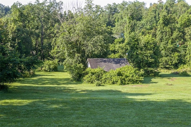 354 Wickhaven Rd, Perry Twp, PA 15492 - view of grassy yard featuring a forest view
