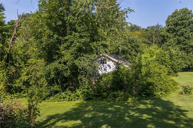 354 Wickhaven Rd, Perry Twp, PA 15492 - view of grassy yard featuring a view of trees