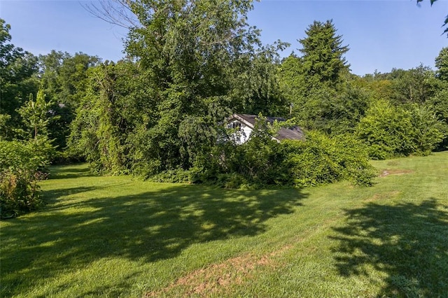 354 Wickhaven Rd, Perry Twp, PA 15492 - view of grassy yard featuring a forest view