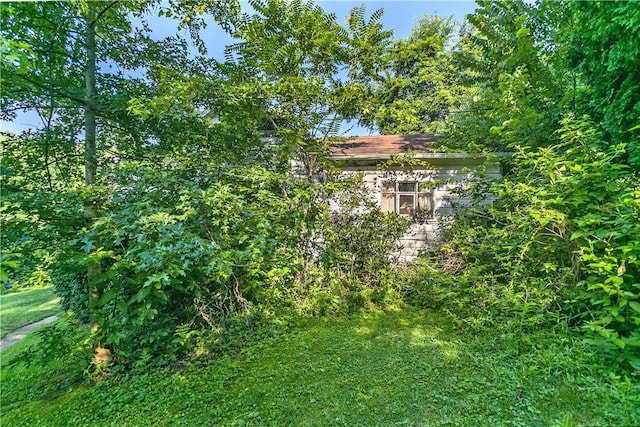 354 Wickhaven Rd, Perry Twp, PA 15492 - view of yard