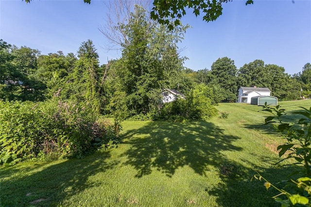 354 Wickhaven Rd, Perry Twp, PA 15492 - view of green lawn featuring a view of trees and an outdoor structure