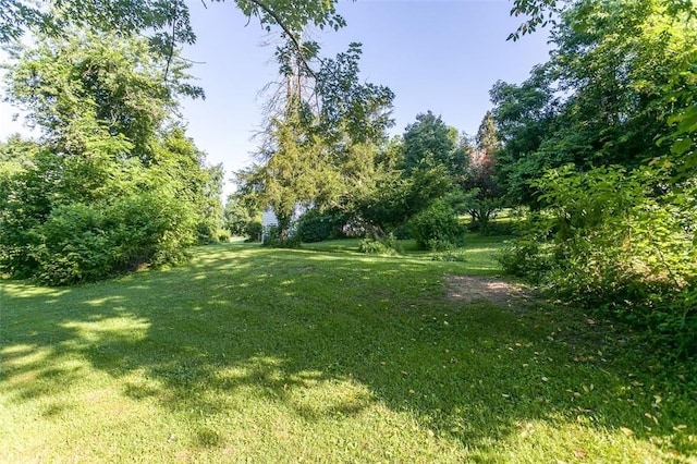354 Wickhaven Rd, Perry Twp, PA 15492 - view of green lawn