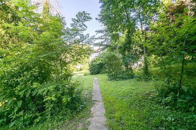 354 Wickhaven Rd, Perry Twp, PA 15492 - view of yard