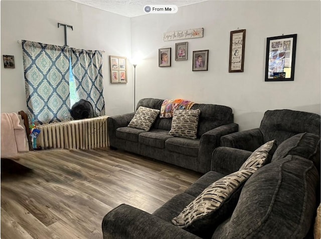 811 Cleveland Ave, Brackenridge, PA 15014 - living room featuring wood finished floors