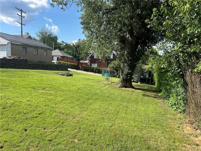 25 E Craig St, Uniontown, PA 15401 - view of green lawn with a trampoline