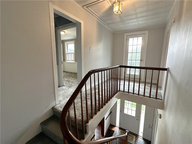 328 Thatcher Rd, Fairfield Twp, PA 15944 - stairs featuring healthy amount of natural light and ornamental molding