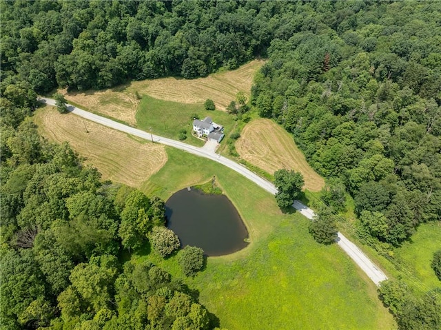 328 Thatcher Rd, Fairfield Twp, PA 15944 - view of property location featuring a nearby body of water and rural landscape