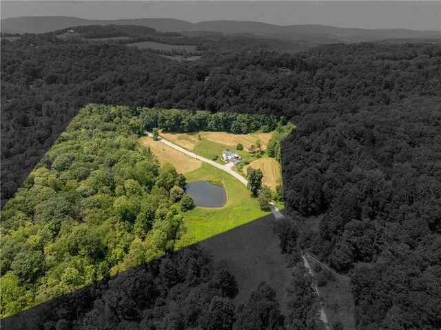 328 Thatcher Rd, Fairfield Twp, PA 15944 - aerial view of a forest and a large body of water