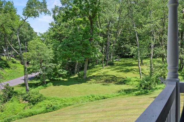 102 Clarks Ln, Adams Twp, PA 16046 - view of community with a yard