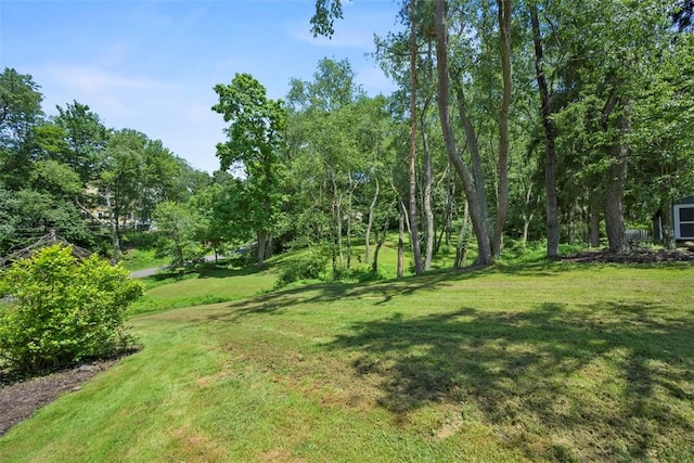 102 Clarks Ln, Adams Twp, PA 16046 - view of grassy yard