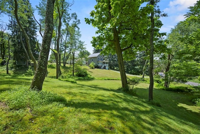 102 Clarks Ln, Adams Twp, PA 16046 - view of grassy yard