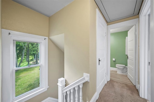 102 Clarks Ln, Adams Twp, PA 16046 - hallway featuring an upstairs landing and carpet flooring