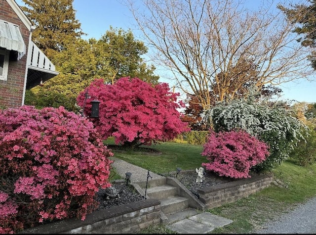 8 Harmar Dr, Cheswick, PA 15024 - view of green lawn