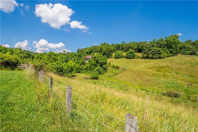 481 Dille Run Rd, Morris Twp, PA 15329 - view of undeveloped land