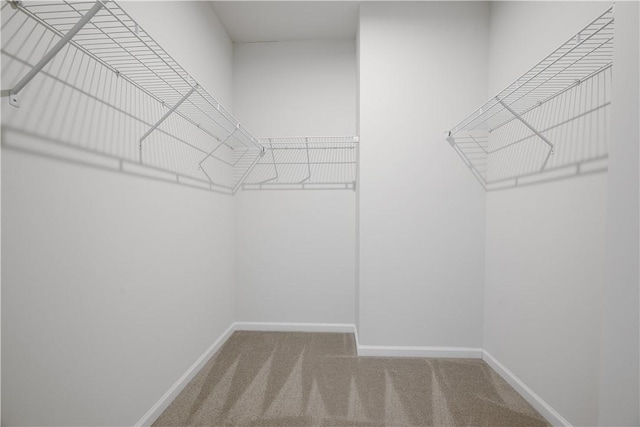 1208 Clear Springs Dr, Cecil, PA 15317 - walk in closet featuring carpet