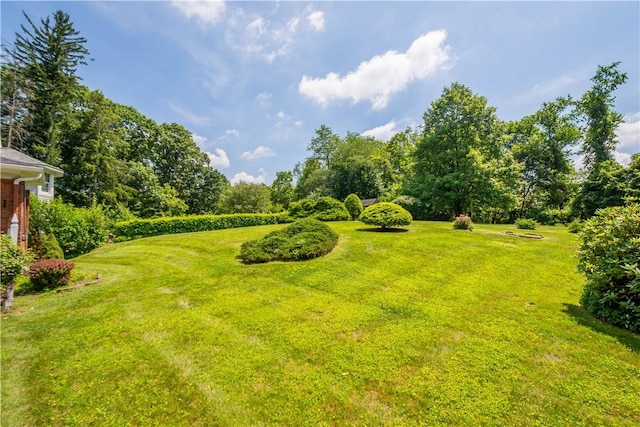 7 Walnut Ave, Carnegie, PA 15106 - photo 32