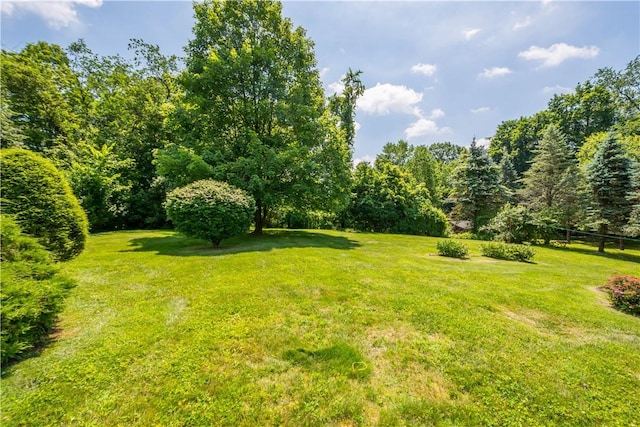 7 Walnut Ave, Carnegie, PA 15106 - photo 33