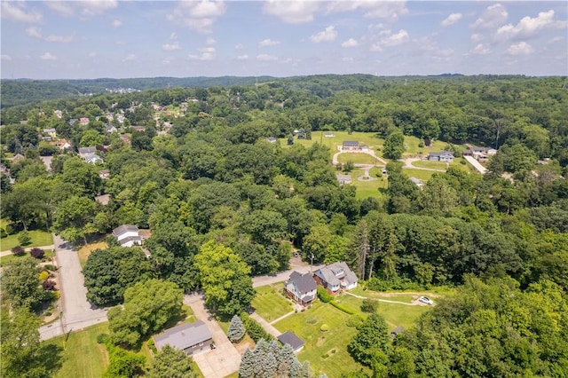 7 Walnut Ave, Carnegie, PA 15106 - photo 38