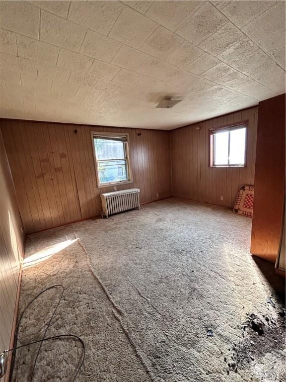 431 Washington Ave, Leechburg Boro, PA 15656 - empty room featuring radiator heating unit, carpet, and wooden walls