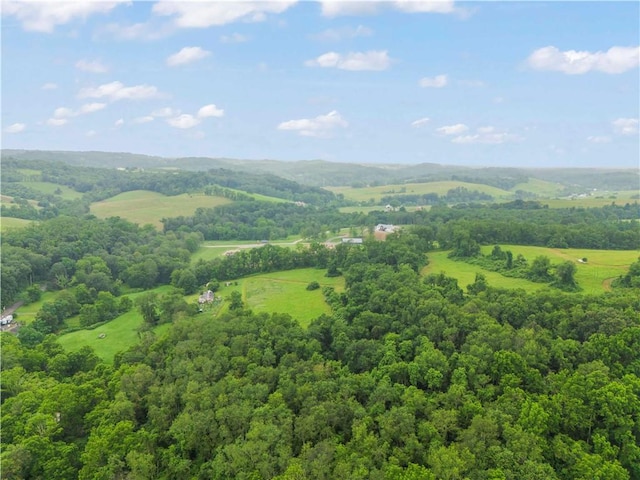 465 Sugar Run Rd, Nottingham, PA 15330 - bird's eye view of a forest