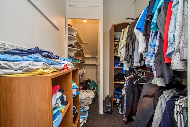 118 S 17th St, South Side, PA 15203 - walk in closet with carpet floors