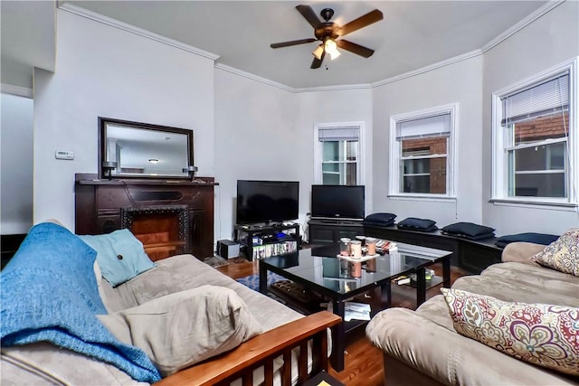 118 S 17th St, South Side, PA 15203 - living area with ceiling fan, crown molding, wood finished floors, and a fireplace