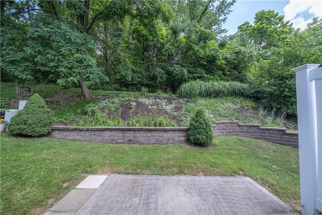 108 Arthur Ct, Richland, PA 15044 - view of grassy yard featuring a patio