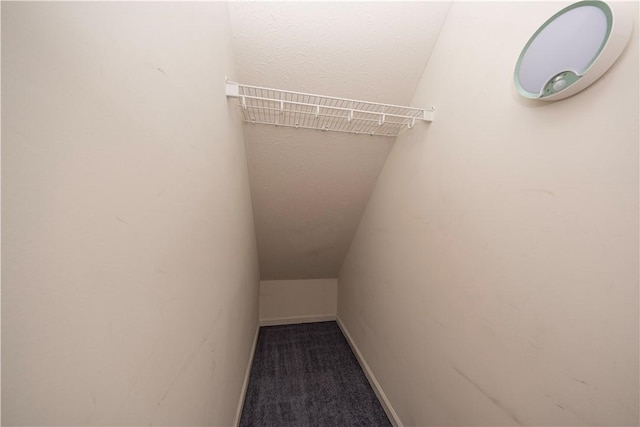 108 Arthur Ct, Richland, PA 15044 - walk in closet with lofted ceiling and carpet floors