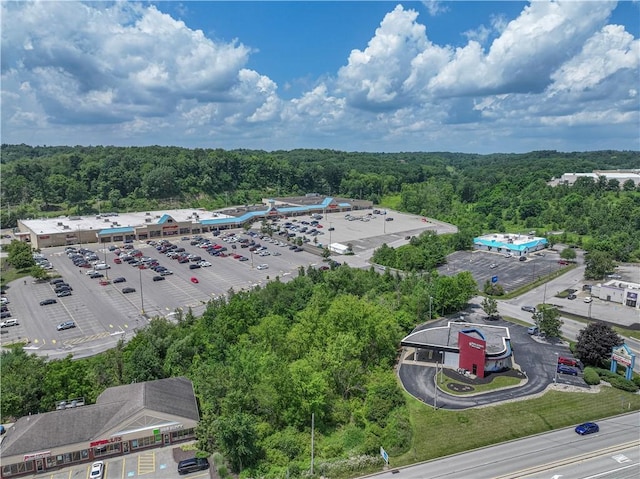 108 Arthur Ct, Richland, PA 15044 - bird's eye view of a forest