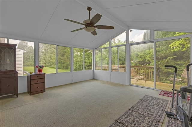 320 Wilson Ave, Beaver, PA 15009 - unfurnished sunroom featuring ceiling fan and plenty of natural light