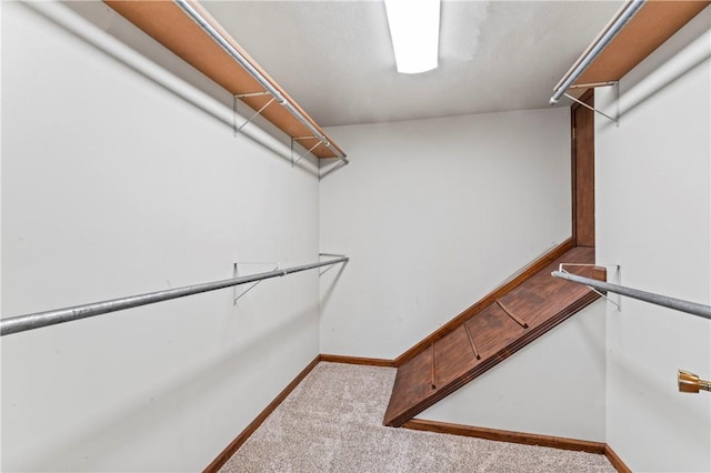 358 Shannon Cir, Daugherty Twp, PA 15066 - walk in closet with carpet floors