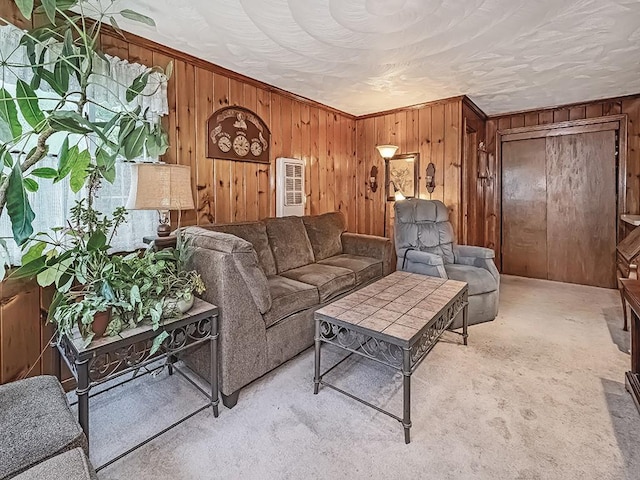 740 Churchill Ave, Penn Hills, PA 15235 - living area with wood walls and light carpet