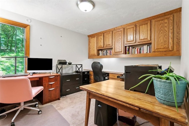 268 Glade Mills Rd, Middlesex Twp, PA 16059 - home office with light colored carpet