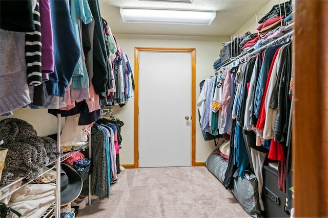 268 Glade Mills Rd, Middlesex Twp, PA 16059 - walk in closet featuring carpet flooring