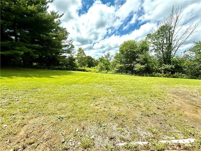 481 Enon Rd, Darlngtn Twp, PA 16120 - photo 23