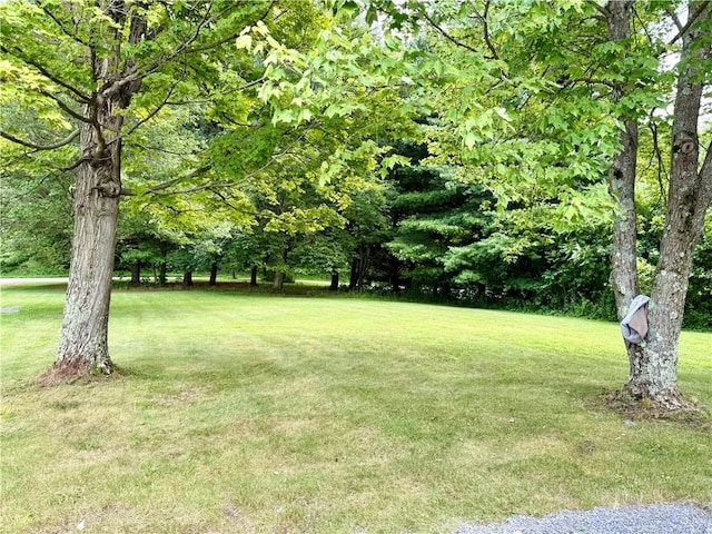 481 Enon Rd, Darlngtn Twp, PA 16120 - photo 28
