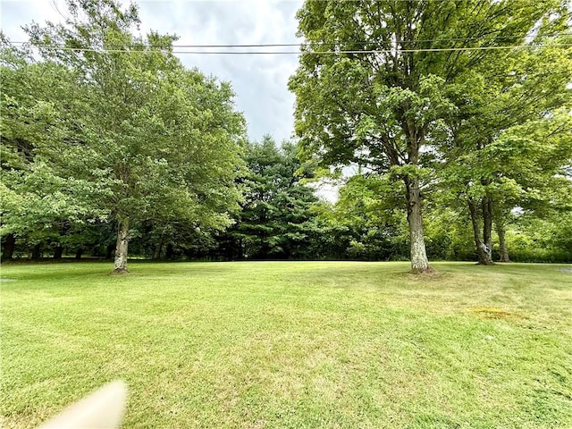 481 Enon Rd, Darlngtn Twp, PA 16120 - photo 29