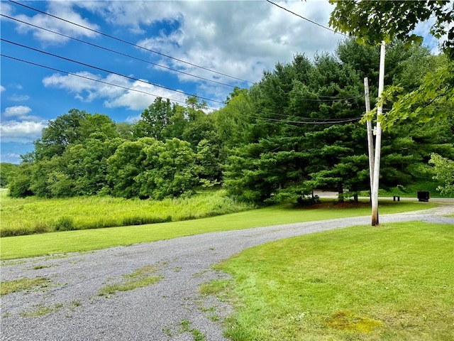 481 Enon Rd, Darlngtn Twp, PA 16120 - photo 30