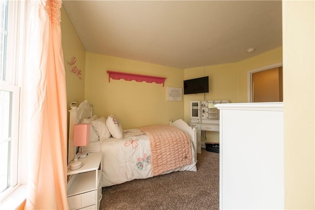 107 Marias Way S, Park, PA 15129 - view of carpeted bedroom