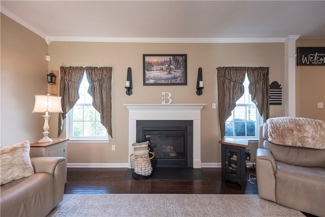 107 Marias Way S, Park, PA 15129 - living area featuring wood finished floors, ornamental molding, and a fireplace with flush hearth