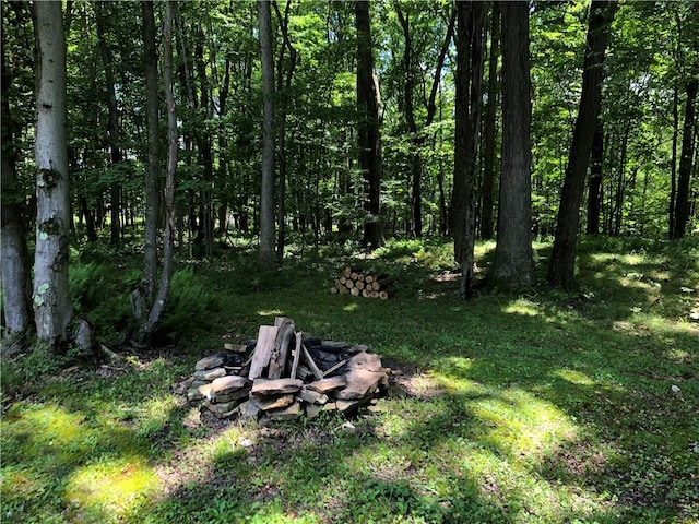 1023 Nemacolin Dr, Ohiopyle, PA 15470 - photo 23
