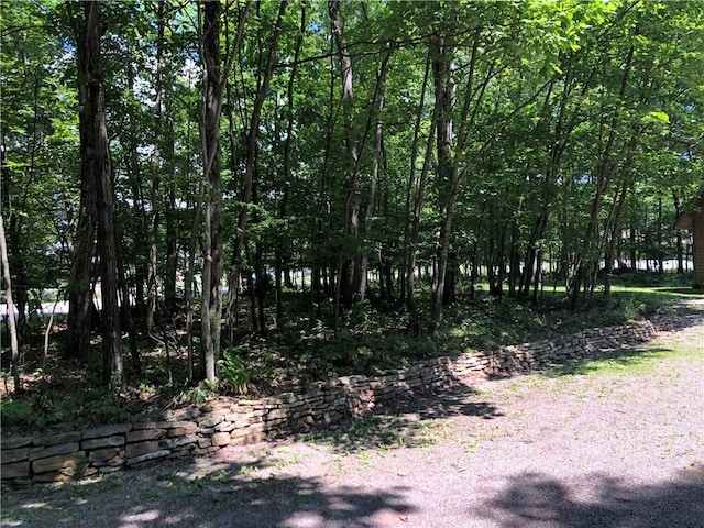 1023 Nemacolin Dr, Ohiopyle, PA 15470 - photo 11