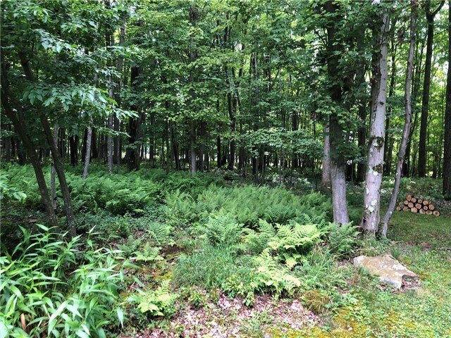1023 Nemacolin Dr, Ohiopyle, PA 15470 - photo 42
