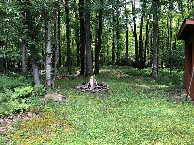 1023 Nemacolin Dr, Ohiopyle, PA 15470 - photo 22