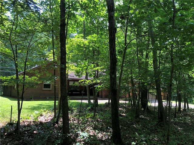 1023 Nemacolin Dr, Ohiopyle, PA 15470 - photo 4