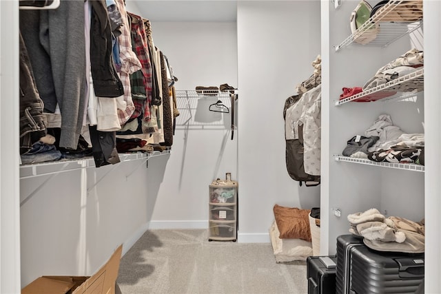 519 Captain Lee Boss Way, Cranberry Twp, PA 16066 - walk in closet with carpet floors